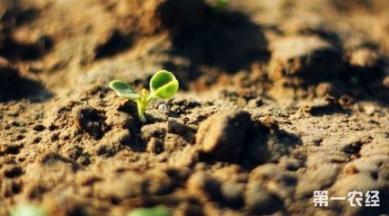 �r�I���޸ďUֹ����Ҏ��Ҏ��