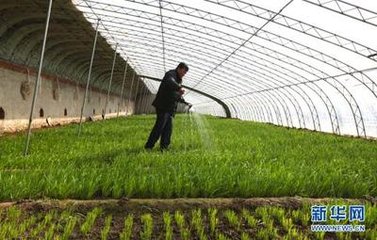 ɽ�|���_(t��i)�P(gu��n)�ڼӿ�l(f��)չ�r(n��ng)�I(y��)�������a(ch��n)����Ҋ