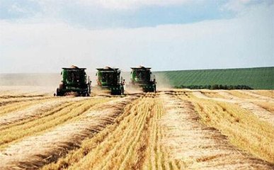 2017���҇��Zʳ���a�٫@�S�� ���a���_61791�f��