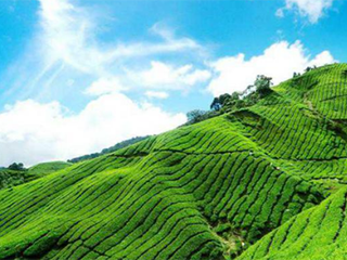 �ЙC(j��)���ƏV�y��ԭ������Ѩ�����@�