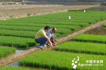 ����̽ӑ���ϾGɫ�l(f��)չ·��