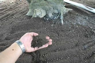 �l(f��)�ЙC(j��)���a(b��)�N�˹�ʾ7���s�o�ˌ���