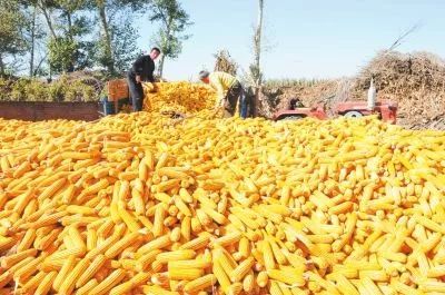 ���ҼZʳ�֣���Z��ُ�����_(d��)1.1�|��