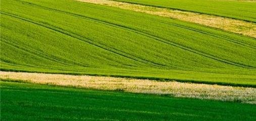 �����rˎ�����L��ǰ���ꌍ�F