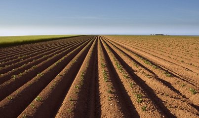 Փ�l(f��)չ���t(y��)�r(n��ng)�I(y��)�ı�Ҫ�ԣ�