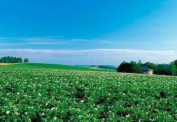 �҇�(gu��)�аl(f��)�������Ԫ�������ʵ����Ϳ�ጷ�