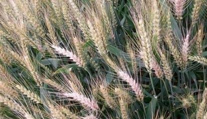 �Zʳ�r���µ����ϵ��r�Y�aƷ�r�񲻔��ϝq������ì����ν�Q