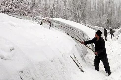 ȫ����ش�ѩ���r�Y�Ј���ô�ߣ�