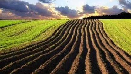 ֪���҇����ؿ��w�|����Ά᣿��Щ�ط����Ѓ��ȸ��أ�