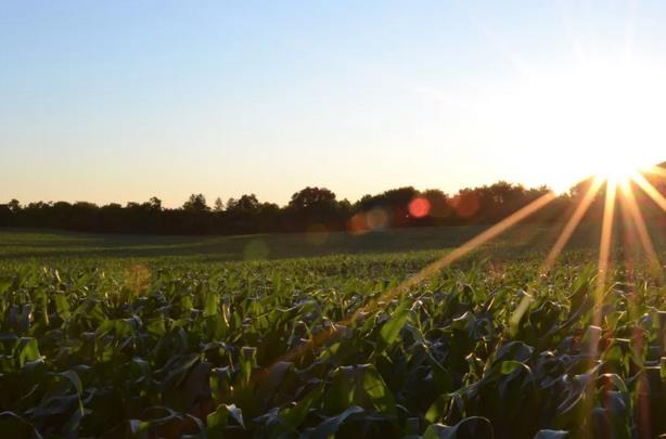 ����I�B(y��ng)���ЙC�ʵ����ʵ�׃���c��˼