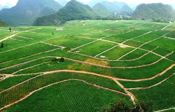 �ЙC���ƏV߀���y��ԭ������Ѩ�����@�