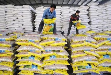 ���Cʡ���Nϵ�y����30�f�����ʂ䴺��