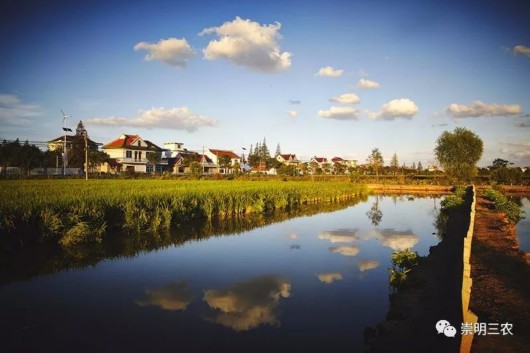 2018���r�I�a�N����Щ�{�� ����һ�󲨻��r���߁��u