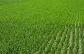 δ��3�������^30%�r�Y�˻���̭����߀���D����