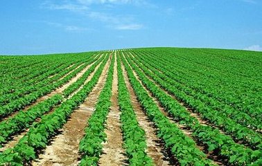 ���ս���989��(g��)ʾ��Ƭ���I(l��ng)�p����Ч