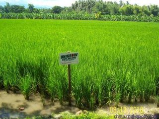 �����a(ch��n)�I(y��)�L�^���ţ���Γ��Z�@��(sh��)ʮ�|Ҏ(gu��)ģ���Ј���