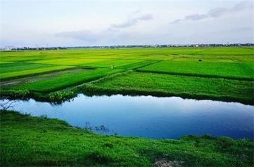 �rˎ�����ʡ����ǵ��ИIע���ˣ��h����Ҏ�����@Щ׃����������h�u