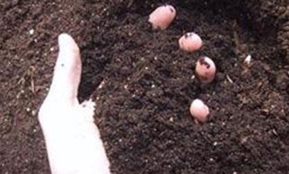 ������Ϯa�I�lչՓ���ھ����_