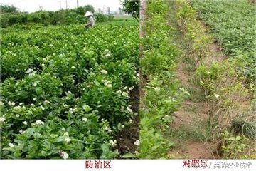 ΢����ʵ�ǰ�����ڣ���