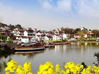 �f�B���������ƽ⡰��ηN�õء��y�} �����l�����d