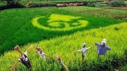 2018���r�I�����q��