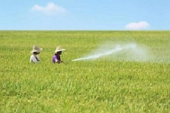 �r(n��ng)�I(y��)���������r(n��ng)ˎ�p����Ч�����c(di��n)ץ��������