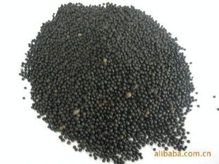 ���Ҹ�ֲ��˜ʻ��C�����ˣ�ӛס�Ǹ���ֲ���ᣬ�����Ǹ���ֳ���ᣡ