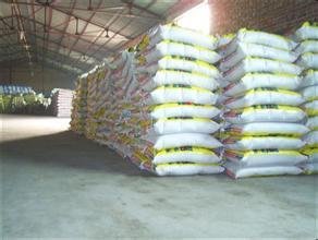 �������ʮaƷ�����l؛ϵ�y�Ͼ�