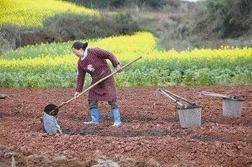 ����ʡ�y���䷽ʩ�ʌ��F��Ϣ��