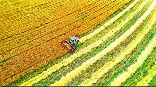 ����(li��n)�ֹ����H���Nֲ�����Є�(d��ng)