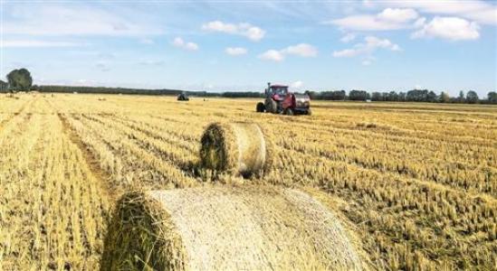 ؔ(c��i)�������a(b��)�N300�f(w��n)��֧�ֽն����ЙC(j��)�ʣ�