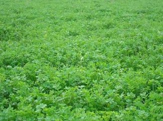 ���Nˮ���N�G��׌��ЪһЪ