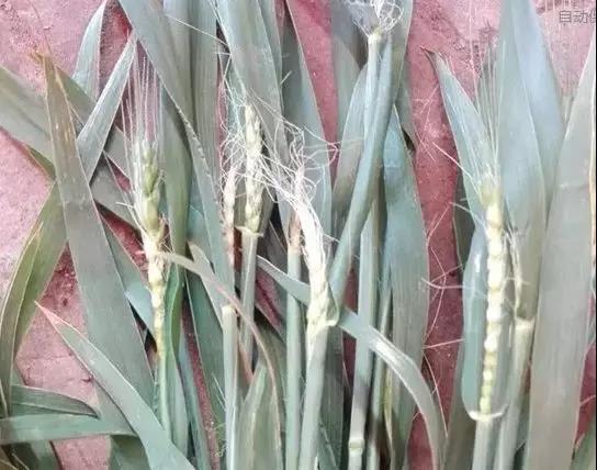 ���������r�Y���N������ס��