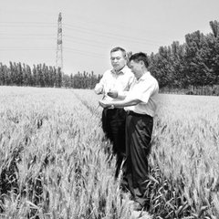 ��ֵ����ɽ�|����������a