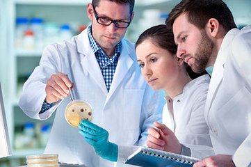 ������ϴ��9����������_