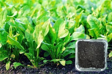 �ЙC���ИI��ӑ������