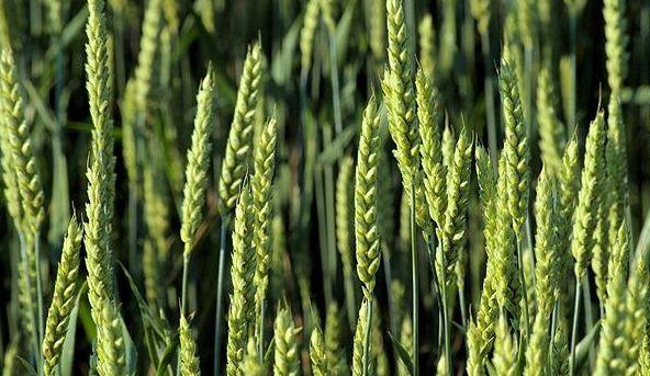 ����С���r���µ����@2����ԭ�򣡷�����͸¶�¼Z����N�ەr�g��