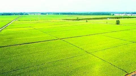 �r�Y����Ҫ����ʾ�����һ��Ҫ���׵Ďׂ��c ��