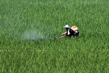 �����ƏV���ʜp����Ч��ģʽ