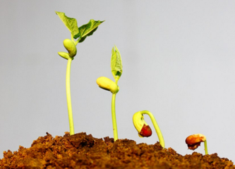 �r(n��ng)�a(ch��n)Ʒ��Դ��Ŀ����ʲô��