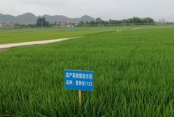 �Gɫ���ϡ��_�̡��Gɫ�a(ch��n)Ʒ���