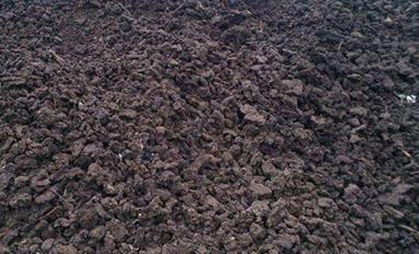 �ЙC���ϳ������ߖ|�L��������һ�������߳�!