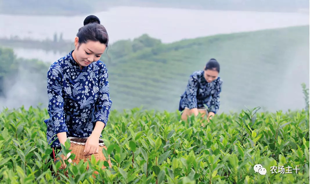 ��ҕ�ǡ����^������ߡ��¼��g���³ɹ����׌������ޏ��c���t�r�I���δ�_�ȟ�