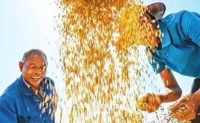 �r(n��ng)�I(y��)�r(n��ng)�岿�������ԁ�����(sh��)�r(n��ng)�a(ch��n)Ʒ�r��ʳ��m(x��)�µ��߄�