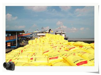 ���������������a(ch��n)��(sh��)�r(sh��)��(y��ng)��ϵ�y(t��ng)