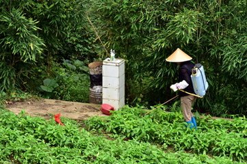 �r(n��ng)�I(y��)�r(n��ng)����Ⱦ�����Є�(d��ng)Ӌ(j��)���@ͨ�^ ���p�ٻ����r(n��ng)ˎʹ����