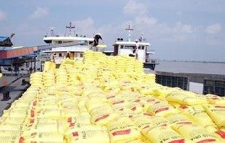 �ϰ��껯�ʳ������½�