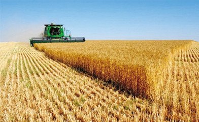 �r�I�r�岿���_�l������͸¶�p�ʜpˎ����