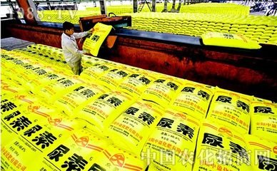 �_�����ʸ��|���lչ�¾��棺�҇������ИI�lչ�ɾ���Ҫ�w�F��������