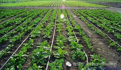 ����ʡ��ʩ��ˮ��һ�w�����Ŀ